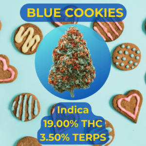 Blue Cookies Indica Cannabis flower that we sell at your cannabis dispensary in Oklahoma City