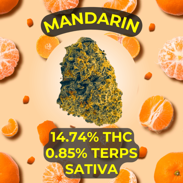 Mandarin Cookies Sativa Flower that we sell at our cannabis dispensary in Oklahoma City