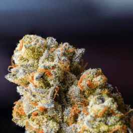 Cannabis Flower we sell at our cannabis Dispensary.